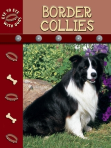 Border Collies