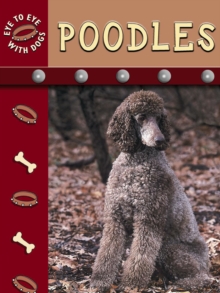 Poodles