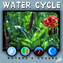 Water Cycle