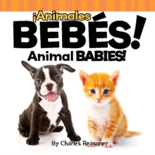 !Animales bebes! : Animal Babies!