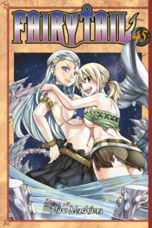 Fairy Tail 45