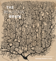 The Beautiful Brain : The Drawings of Santiago Ramon y Cajal