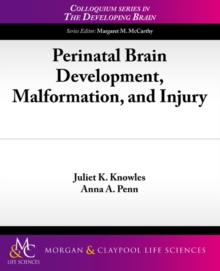 Perinatal Brain Development, Malformation, and Injury