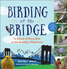 Birding At The Bridge : In Search Of Every Bird On The Brooklyn Waterfront