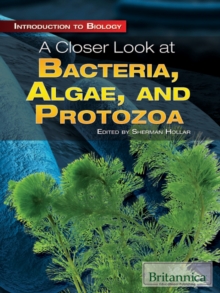 A Closer Look at Bacteria, Algae, and Protozoa