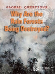 Why Are the Rain Forests Being Destroyed?