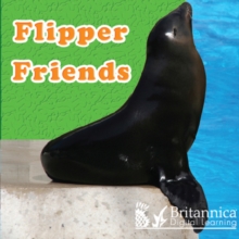 Flipper Friends