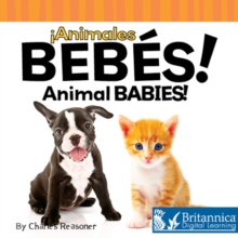 Animales bebes (Animal Babies)