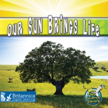 Our Sun Brings Life