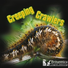 Creeping Crawlers