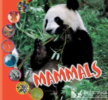 Mammals