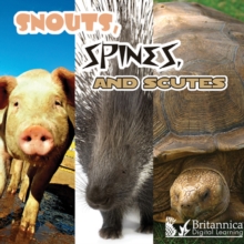 Snouts, Spines, and Scutes