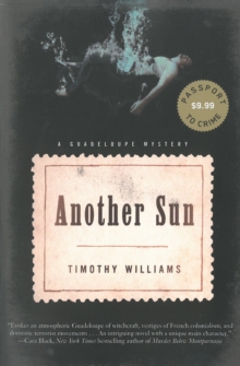 Another Sun, Paperback / softback Book Another Sun, Paperback / softback Book
