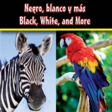 Negro, blanco y mas : Black, White, and More