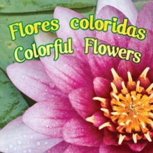 Flores coloridas : Colorful Flowers