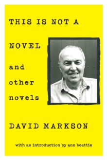 This is Not a Novel and Other Novels, Paperback / softback Book This is Not a Novel and Other Novels, Paperback / softback Book