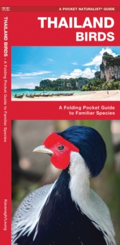 Thailand Birds : A Folding Pocket Guide To Familiar Species James Kavanagh