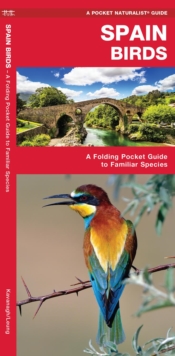 Spain Birds : A Folding Pocket Guide to Familiar Species