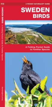 Sweden Birds : A Folding Pocket Guide to Familiar Species