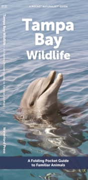 Tampa Bay Wildlife : A Folding Pocket Guide to Familiar Animals