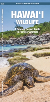 Hawai'i Wildlife : A Folding Pocket Guide to Familiar Animals