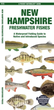 New Hampshire Freshwater Fishes : A Waterproof Folding Guide to Native and Introduced Species