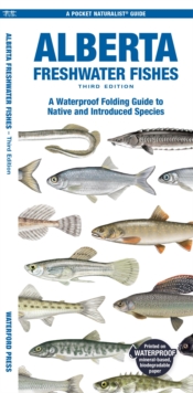 Alberta Freshwater Fishes : A Waterproof Folding Guide to Native and Introduced Species