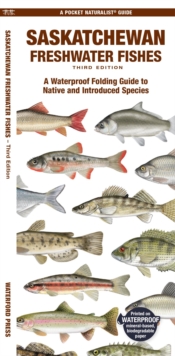 Saskatchewan Freshwater Fishes : A Waterproof Folding Guide to Native and Introduced Species