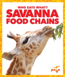 Savanna Food Chains