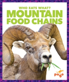 Mountain Food Chains