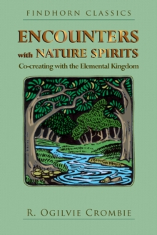 Encounters with Nature Spirits : Co-creating with the Elemental Kingdom, Paperback Book Encounters with Nature Spirits : Co-creating with the Elemental Kingdom, Paperback Book