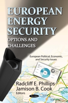 European Energy Security : Options and Challenges