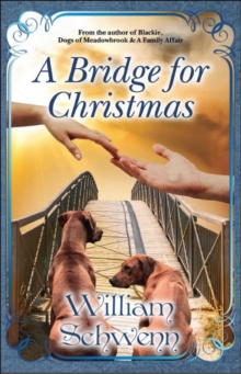 Bridge For Christmas