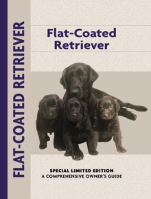 Flat-Coated Retriever