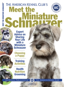 Meet the Miniature Schnauzer