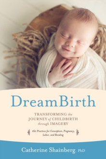 Dreambirth : Transforming the Journey of Childbirth Through Imagery, Paperback / softback Book Dreambirth : Transforming the Journey of Childbirth Through Imagery, Paperback / softback Book