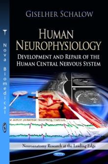 Human Neurophysiology : Development and repair of the human central nervous system