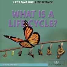 What Is a Life Cycle?