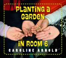 Planting a Garden in Room 6 : From Seeds to Salad