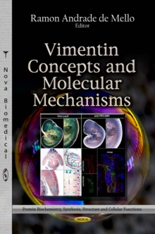 Vimentin Concepts and Molecular Mechanisms