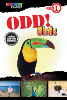 Odd! Birds : Level 1