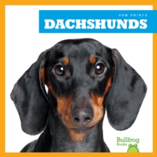 Dachshunds