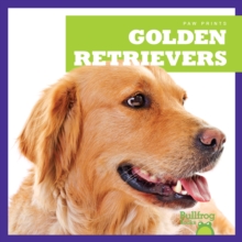 Golden Retrievers