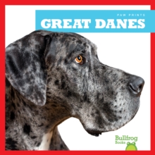 Great Danes