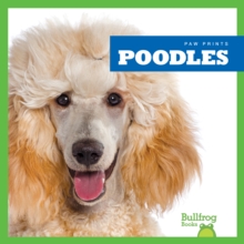 Poodles