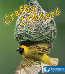 Crafty Critters