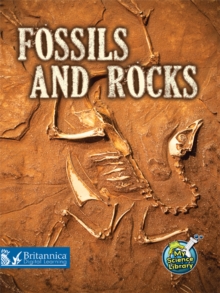 Fossils and Rocks