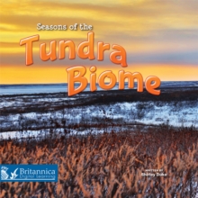 Seasons of the Tundra Biome