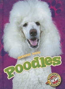 Poodles