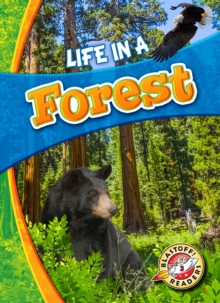 Life in a Forest